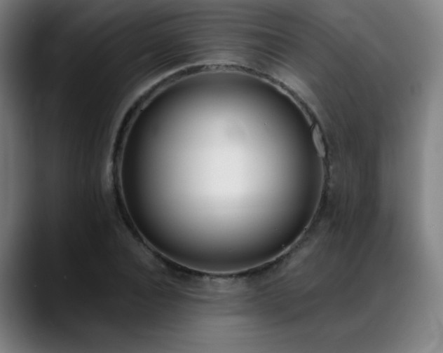 X0000089420928200706151248