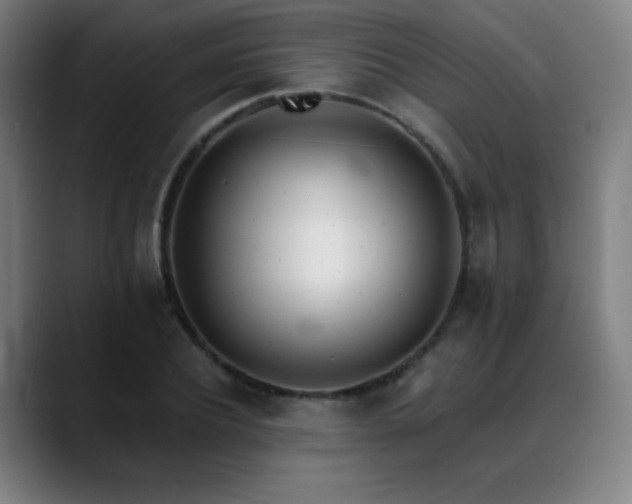 X0000089420932200706151248