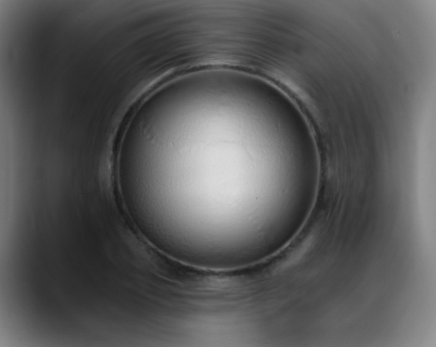 X0000089420933200706151248