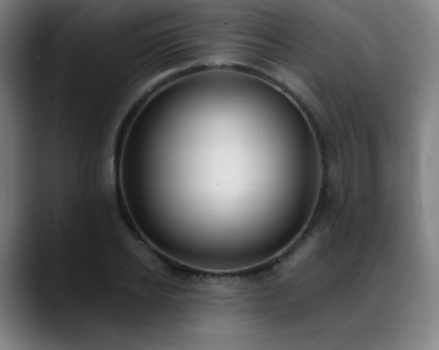 X0000089420934200706151248