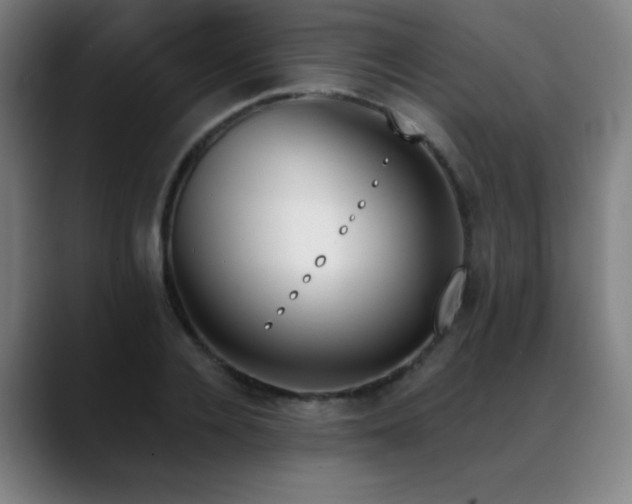 X0000089420936200706151248