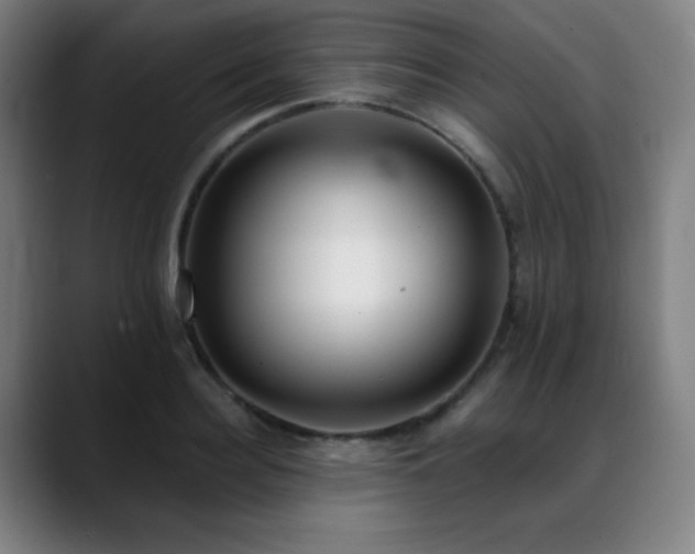 X0000089420940200706151248