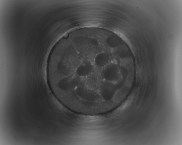 X0000089420941200706151248
