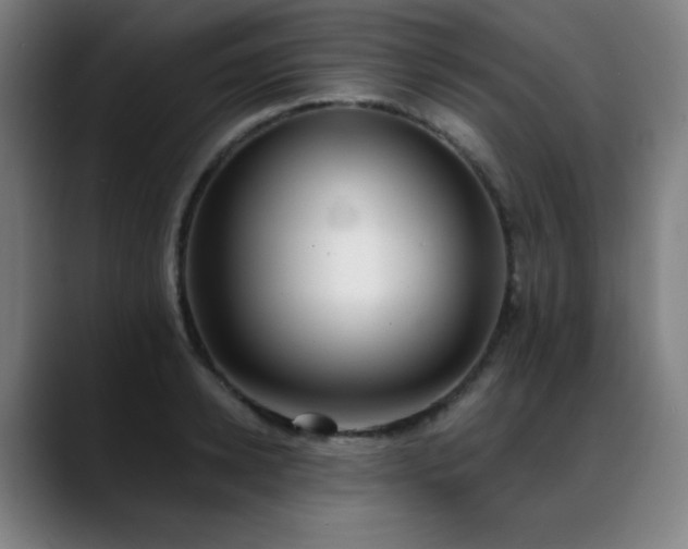 X0000089420942200706151248