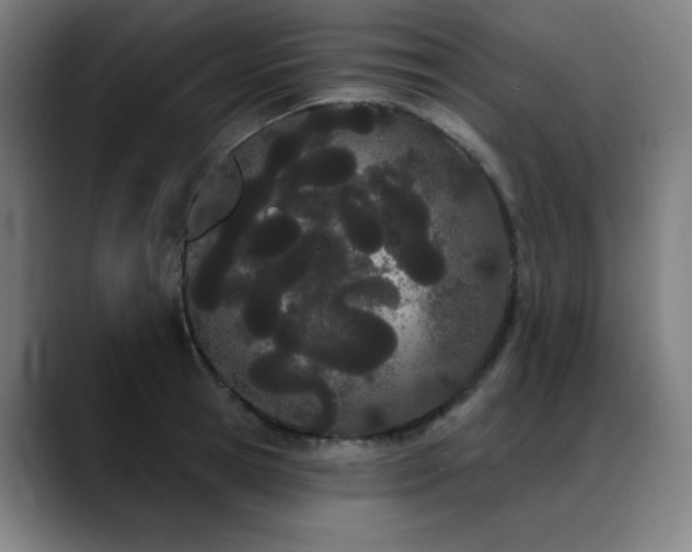 X0000089420945200706151248