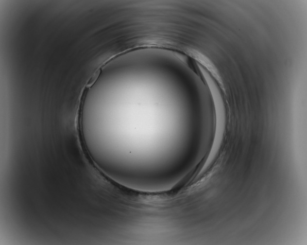 X0000089420946200706151248