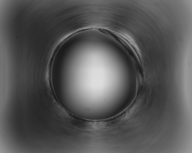 X0000089420952200706151248