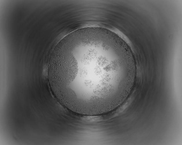 X0000089420953200706151248