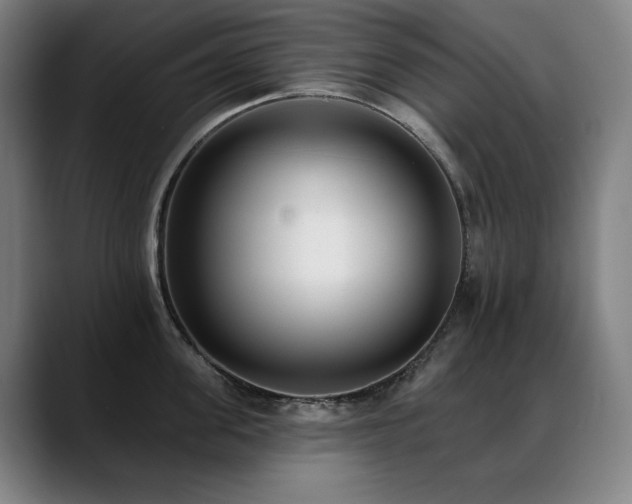 X0000089420955200706151248