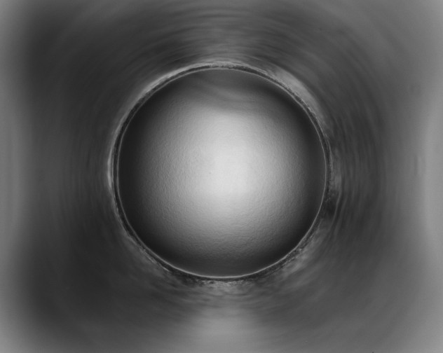 X0000089420958200706151248