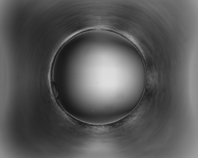 X0000089420959200706151248