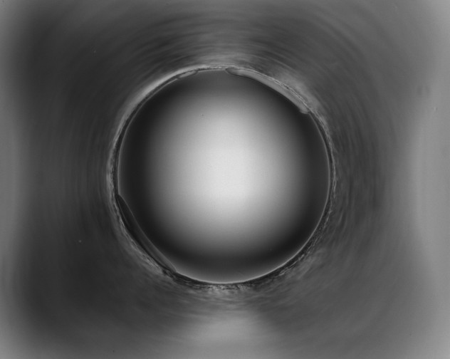 X0000089420960200706151248