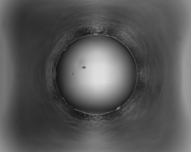 X0000089420961200706151248