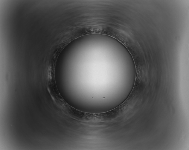 X0000089420962200706151248