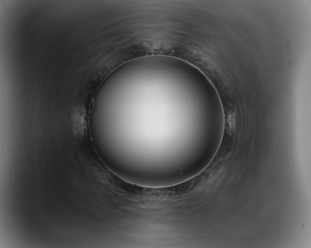 X0000089420963200706151248