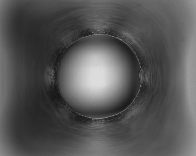 X0000089420964200706151248