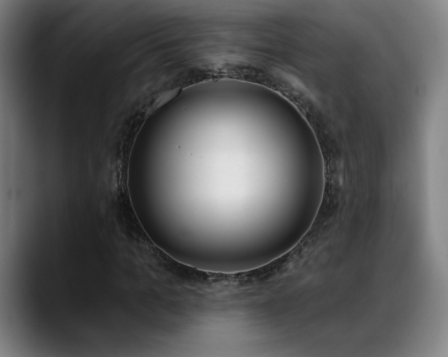X0000089420965200706151248