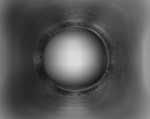 X0000089420966200706151248