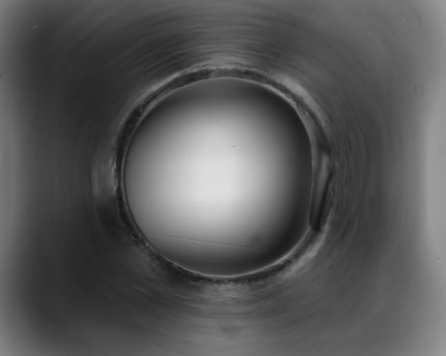 X0000089420973200706151247