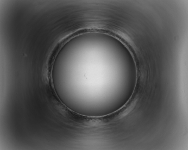 X0000089420974200706151247