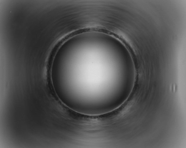 X0000089420975200706151247
