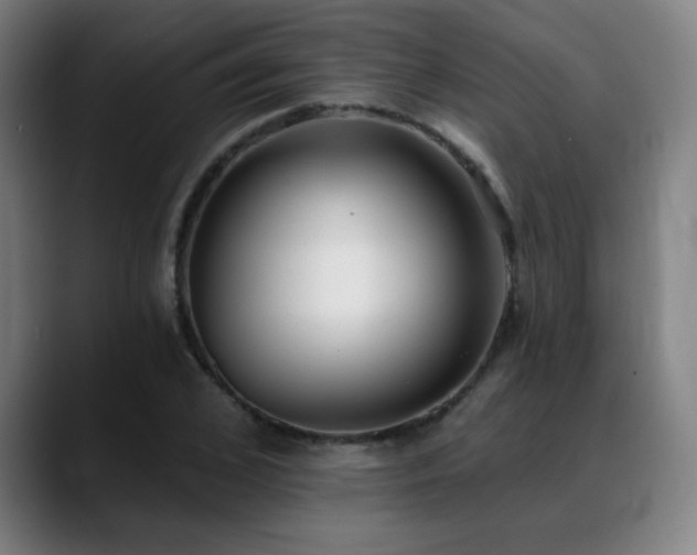 X0000089420976200706151247