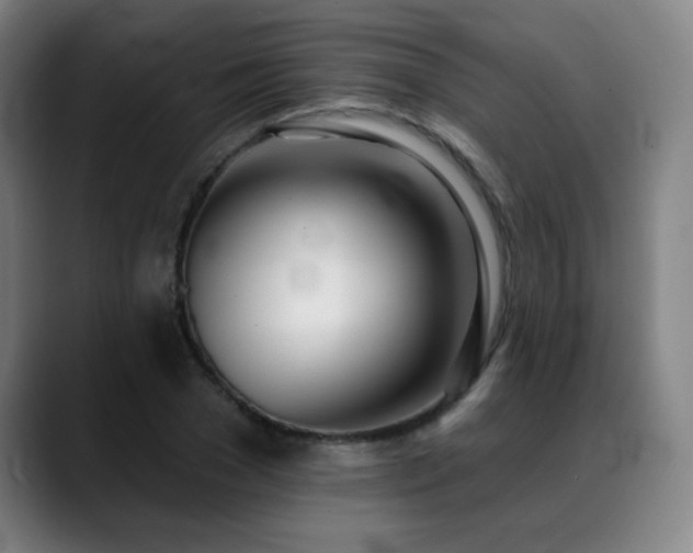 X0000089420977200706151247