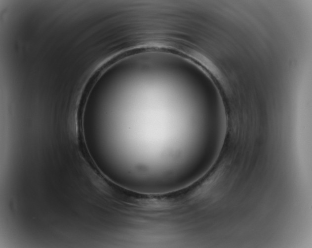 X0000089420980200706151247