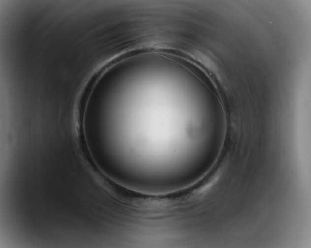 X0000089420981200706151247