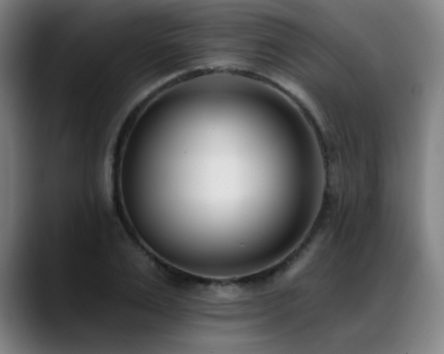 X0000089420983200706151247