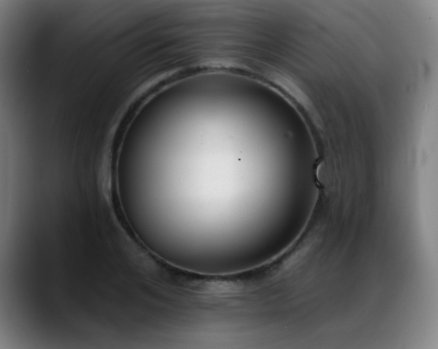 X0000089420984200706151247