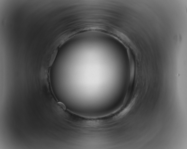 X0000089420985200706151247