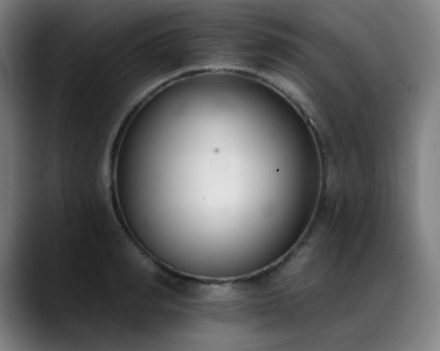 X0000089420990200706151247