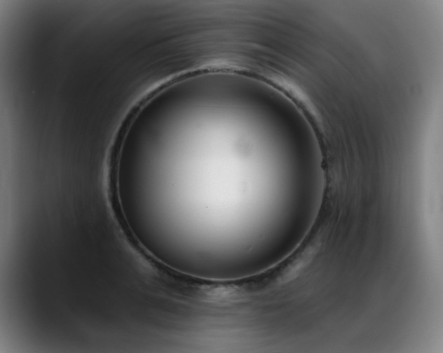 X0000089420991200706151247