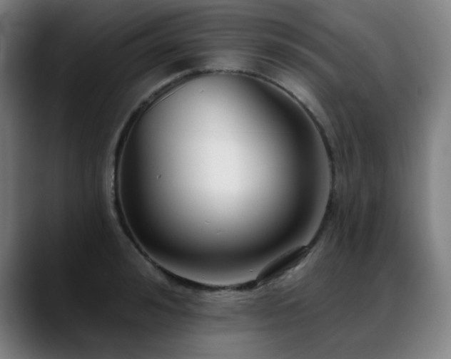 X0000089420992200706151247