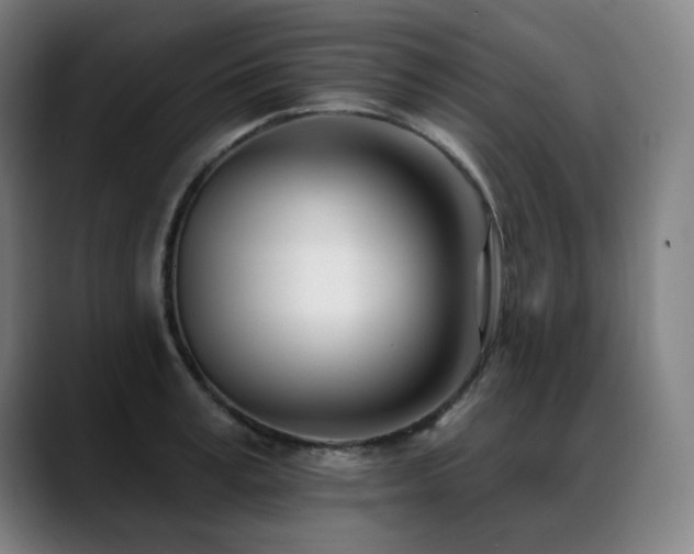 X0000089420995200706151247