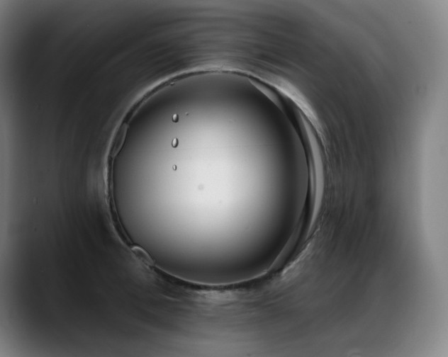 X0000089420996200706151247