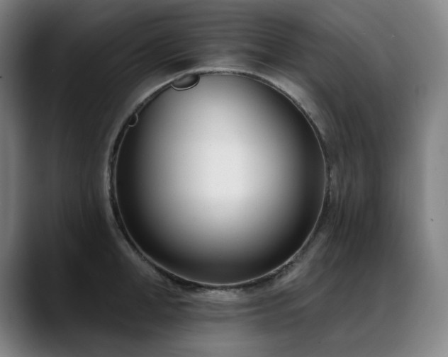 X0000089420998200706151247