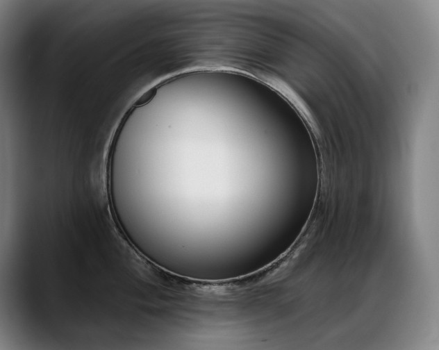 X0000089421004200706151247