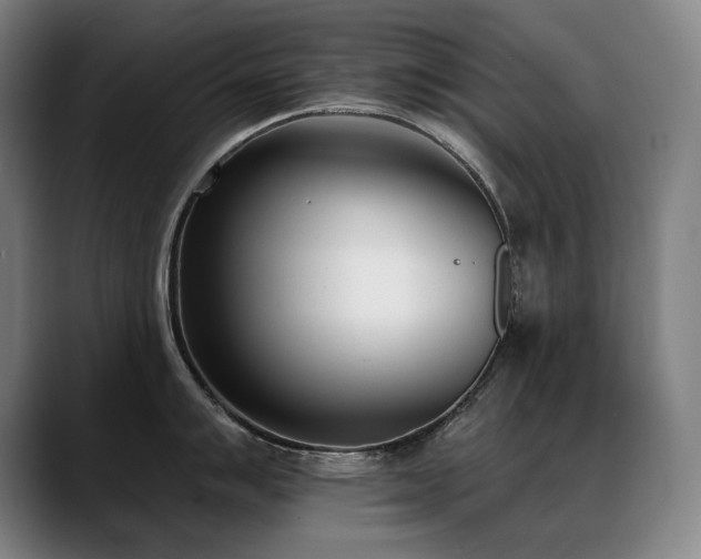 X0000089421007200706151247