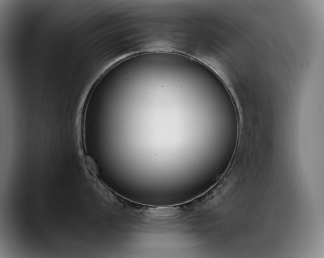 X0000089421008200706151247