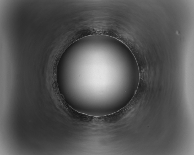 X0000089421009200706151247