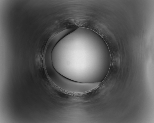 X0000089421010200706151247
