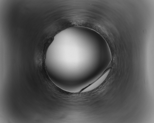 X0000089421012200706151247