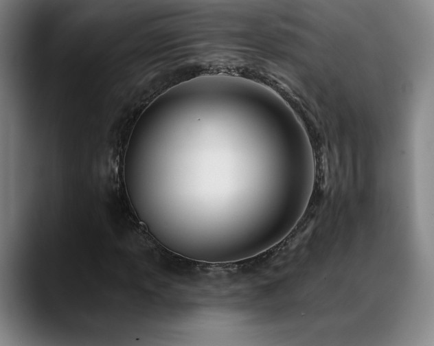 X0000089421013200706151247