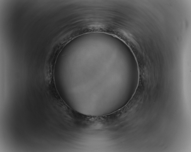 X0000089421015200706151247