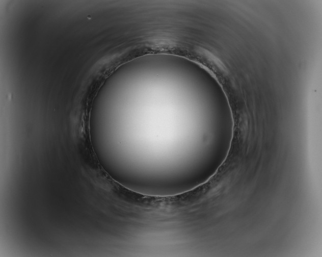 X0000089421016200706151247