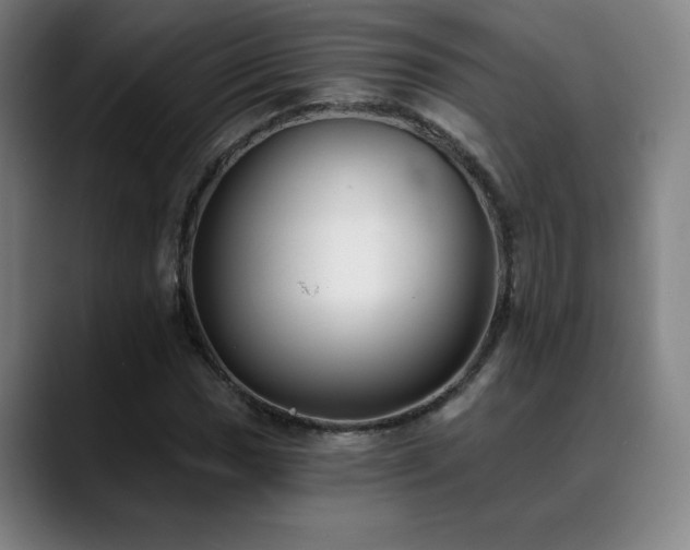 X0000089421017200706151247
