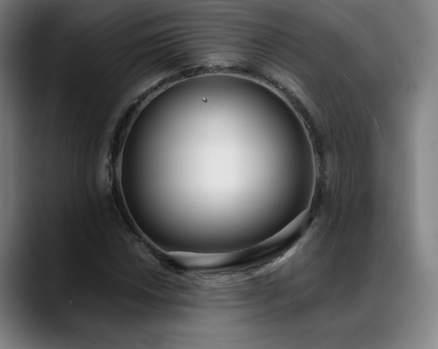 X0000089421018200706151247