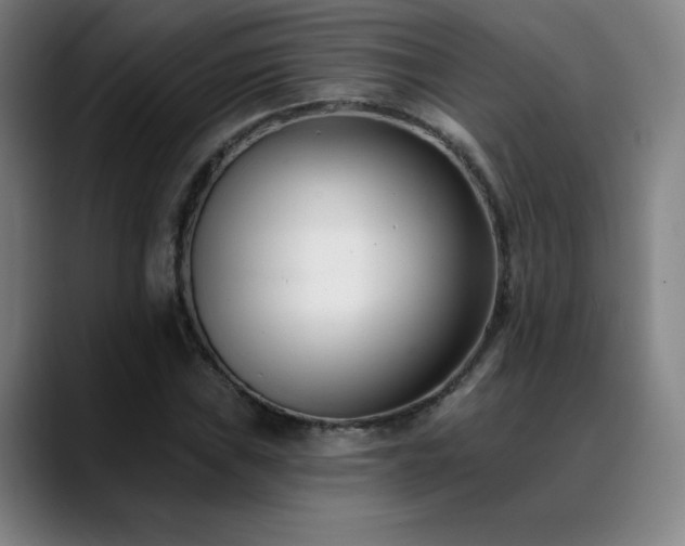 X0000089421019200706151247